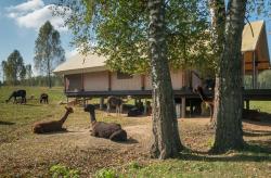 «Козий остров» в Калужской области