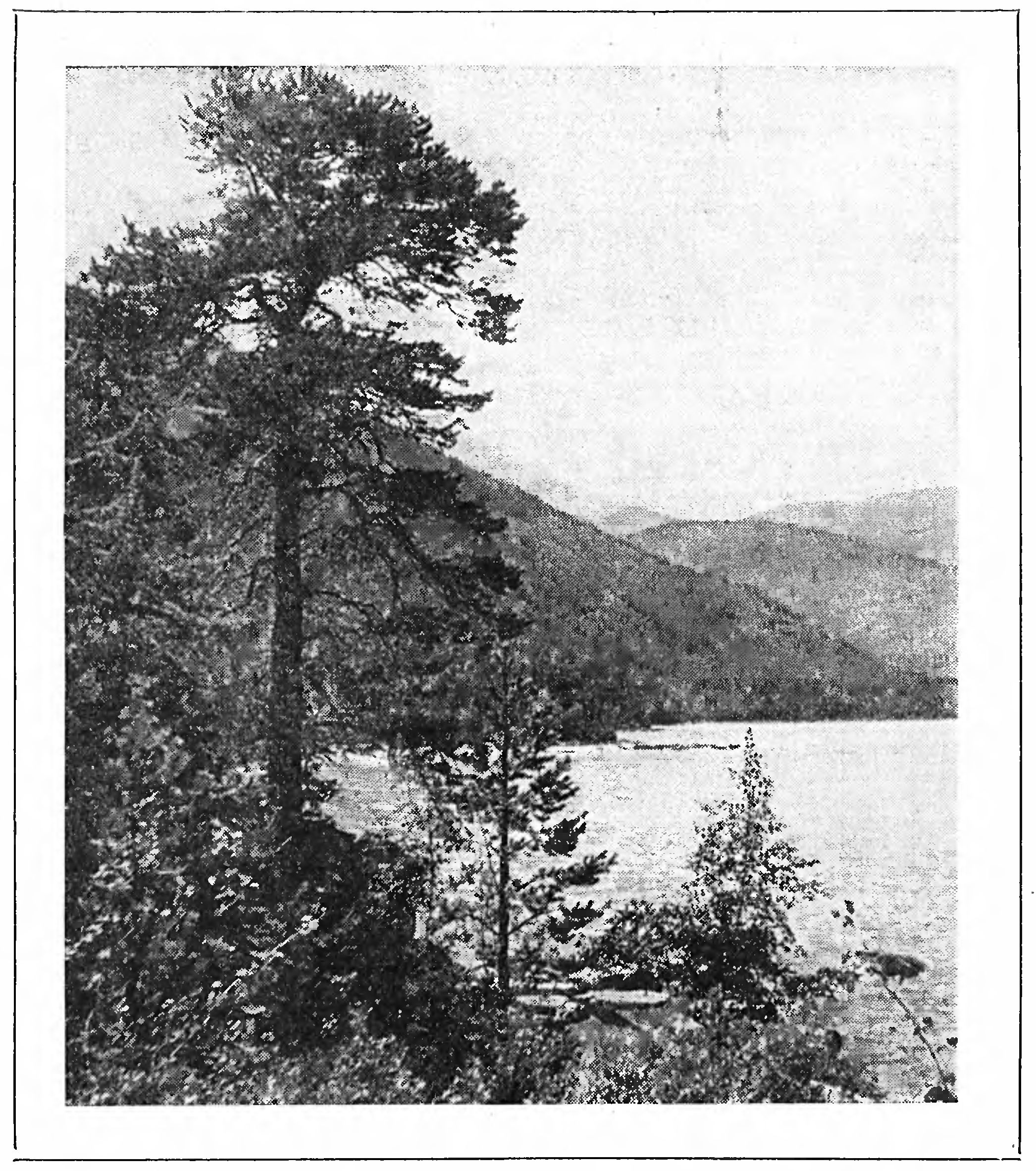 4.	О ДОПОЛНИТЕЛЬНЫХ МЕРАХ ПО ОБЕСПЕЧЕНИЮ РАЦИОНАЛЬНОГО ИСПОЛЬЗОВАНИЯ, И СОХРАНЕНИЮ ПРИРОДНЫХ БОГАТСТВ БАССЕЙНА ОЗЕРА БАЙКАЛ