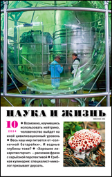 Обложка журнала «Наука и жизнь» №10 за 2024 г.