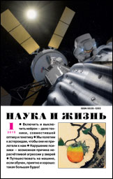 Обложка журнала «Наука и жизнь» №01 за 2015 г.