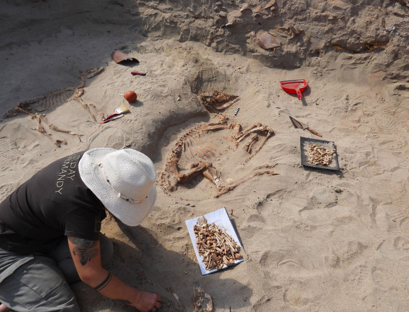 Переписка римских центурионов затерялась на кладбище домашних животных