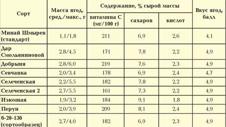 Схема подкормки смородины таблица