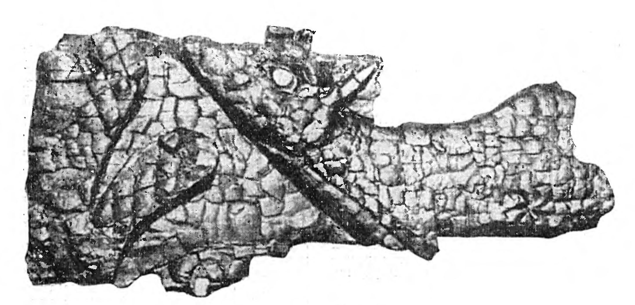 ПОЭМА В ДЕРЕВЕ