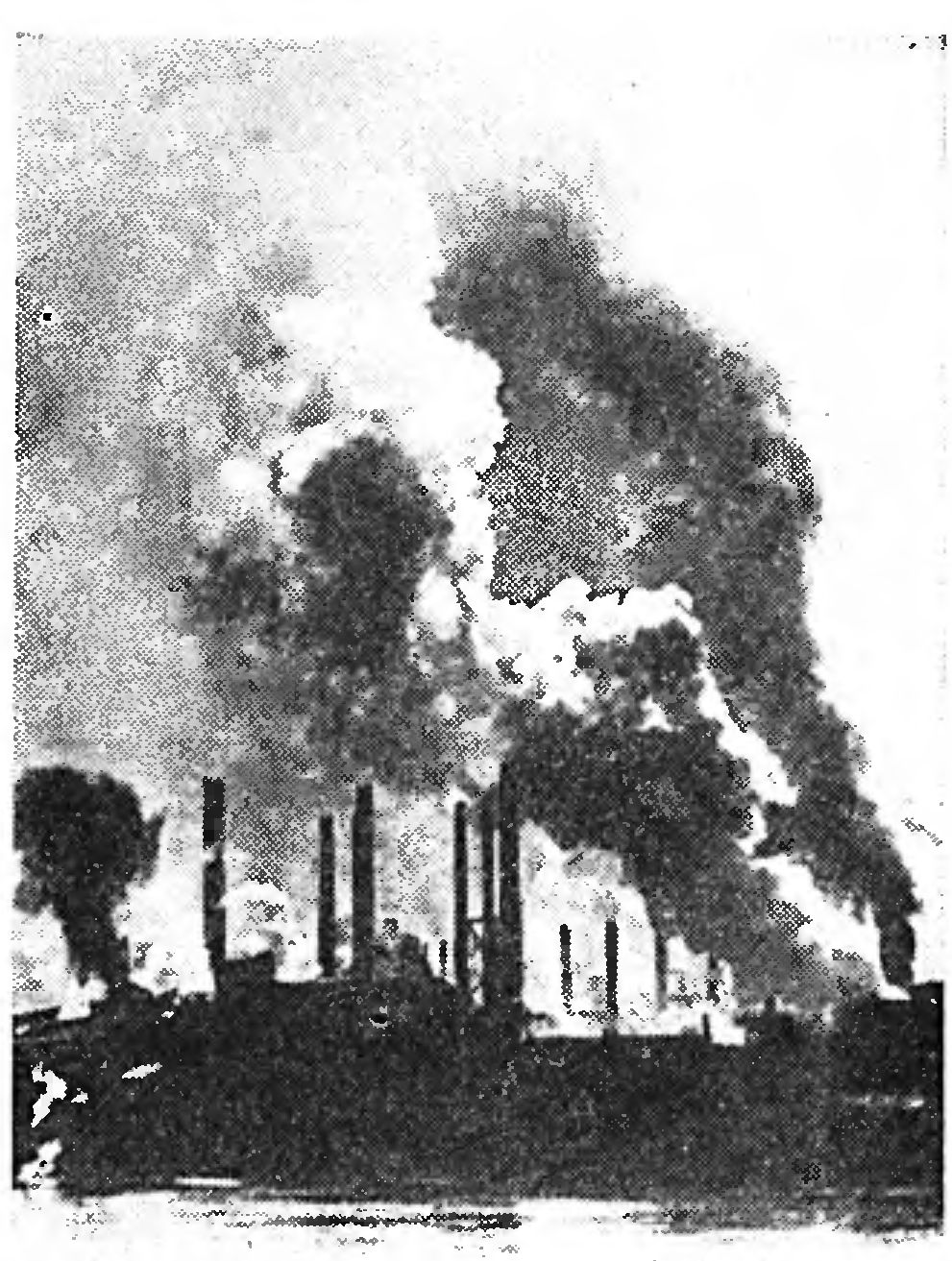 БИОЦИД - ПОРОЖДЕНИЕ МИРА НАЖИВЫ