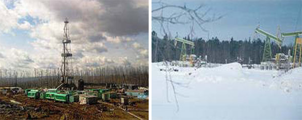 Чкаловский нефтегазоперспективный участок расположен на территории Александровского района Томской области.