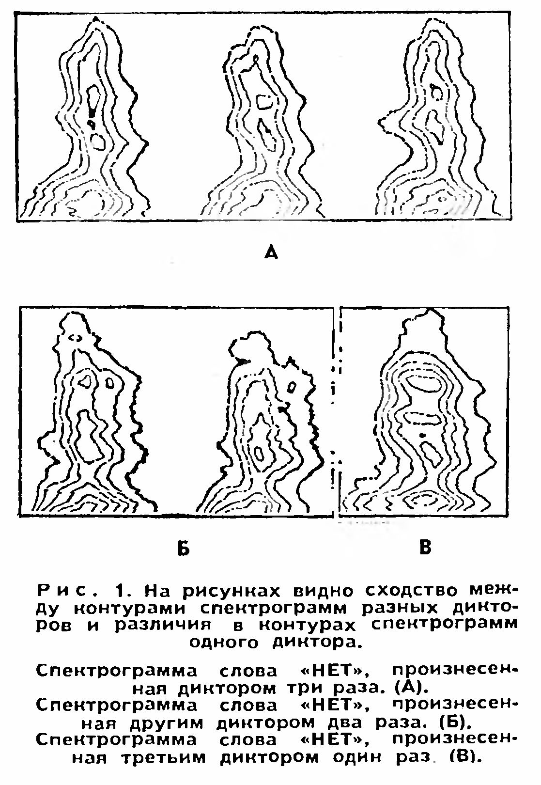 ОПОЗНАН ПО ОТПЕЧАТКУ ГОЛОСА