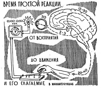 Нарушения в опознании рисунков поппельрейтера обычно свидетельствуют о