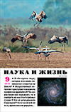 «Наука и жизнь» 2025_09(pdf)