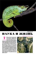 Обложка журнала «Наука и жизнь» №7 за 1998 г.