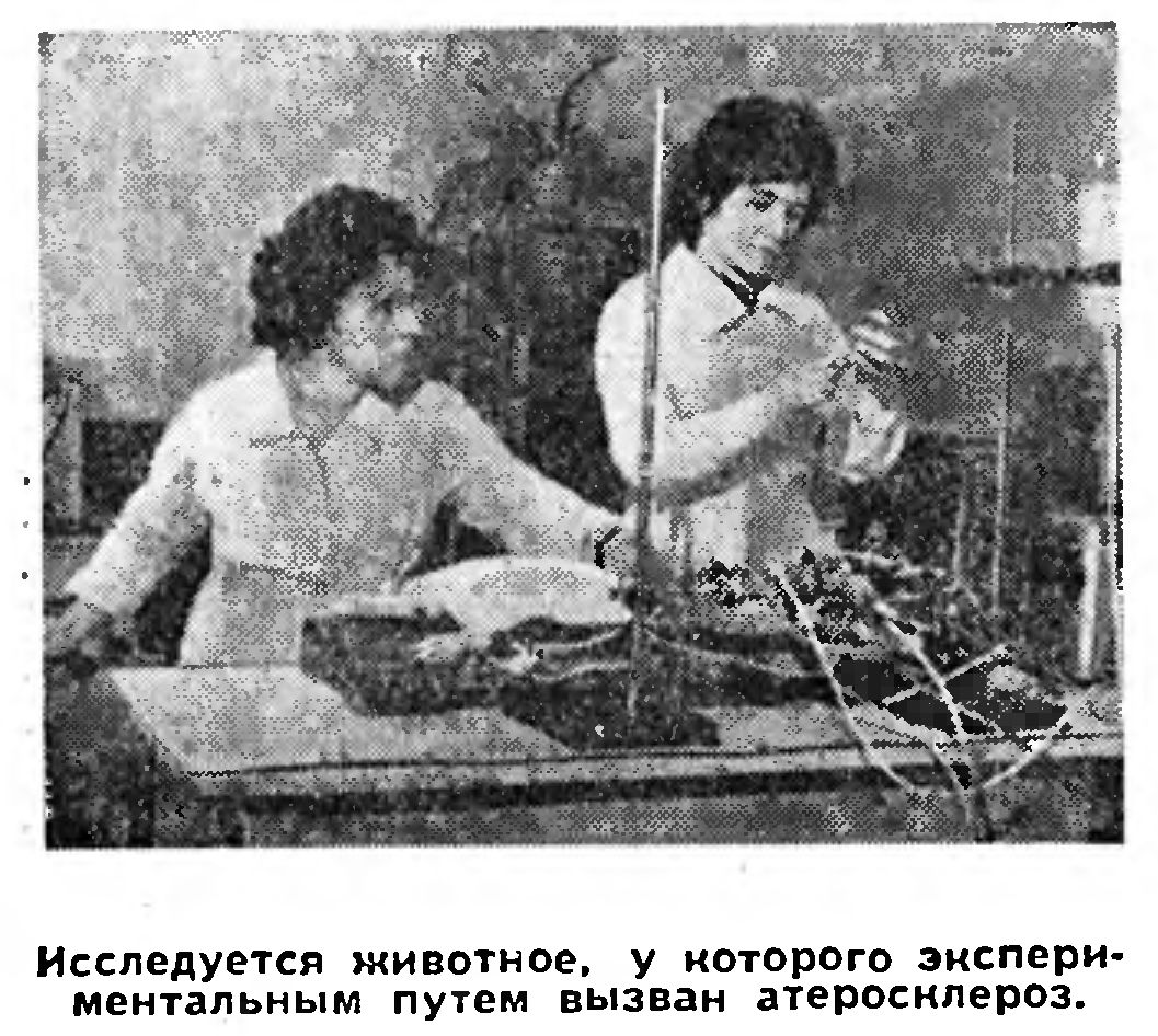 13.	КИЕВ IX МЕЖДУНАРОДНЫЙ КОНГРЕСС ГЕРОНТОЛОГОВ" Г. ГОХЛЕРНЕР, ВРАЧ - ЧТО ЕСТЬ СТАРОСТЬ