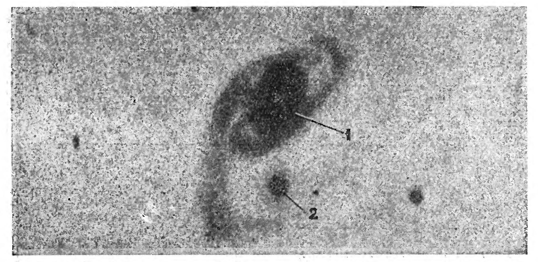 КОМПАС В МИРЕ ГАЛАКТИК