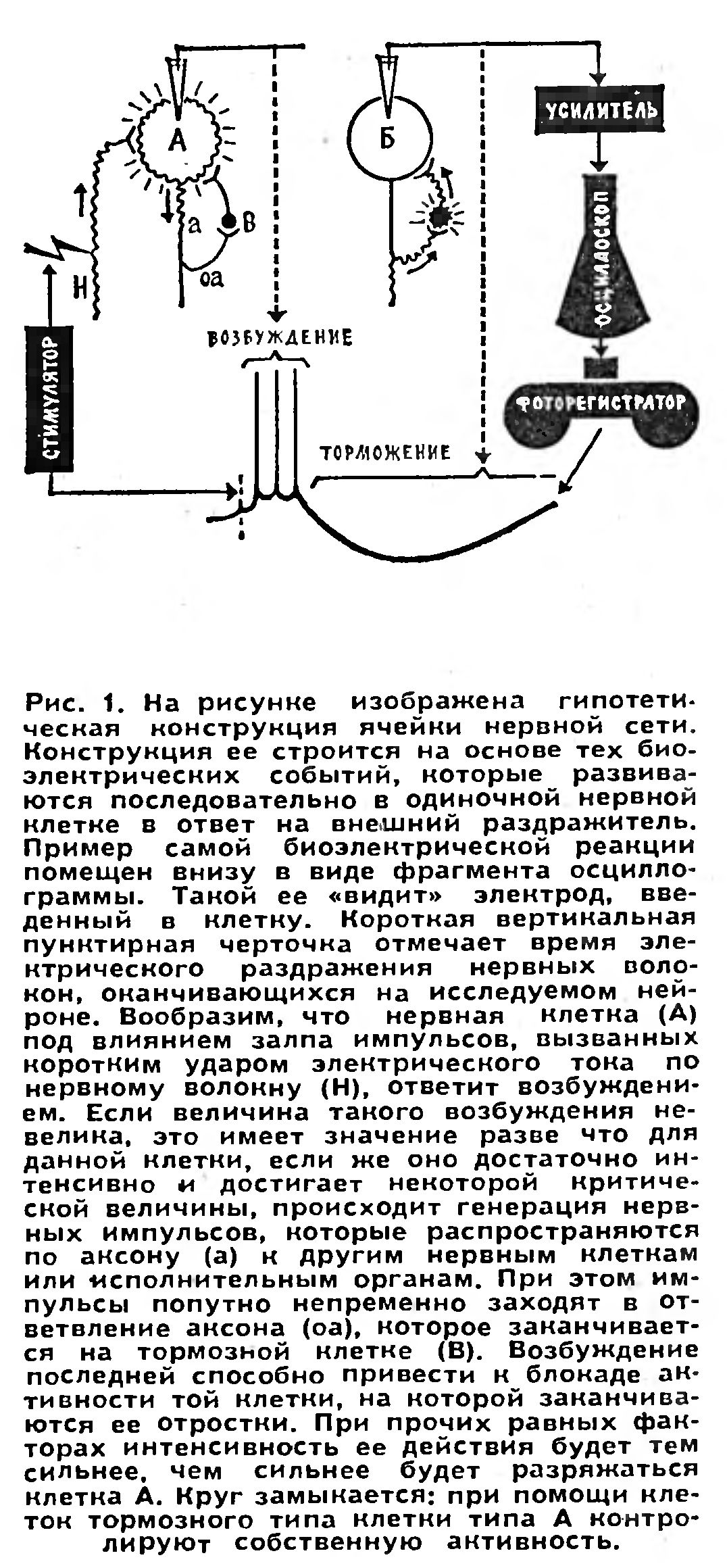 УДОВОЛЬСТВИЕ - ИНСТРУМЕНТ ЭВОЛЮЦИИ