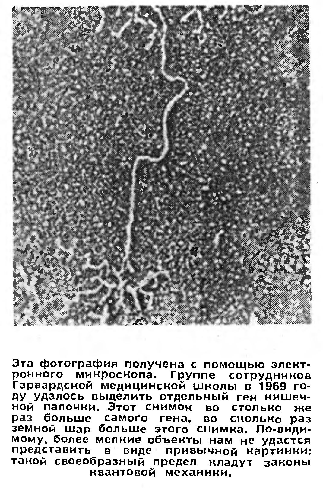 СЛОВО О ВСТРЕЧНЫХ