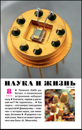 Обложка журнала «Наука и жизнь» №08 за 2022 г.