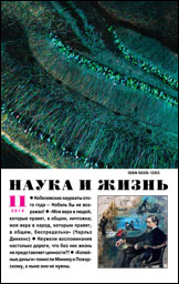 Обложка журнала «Наука и жизнь» №11 за 2014 г.