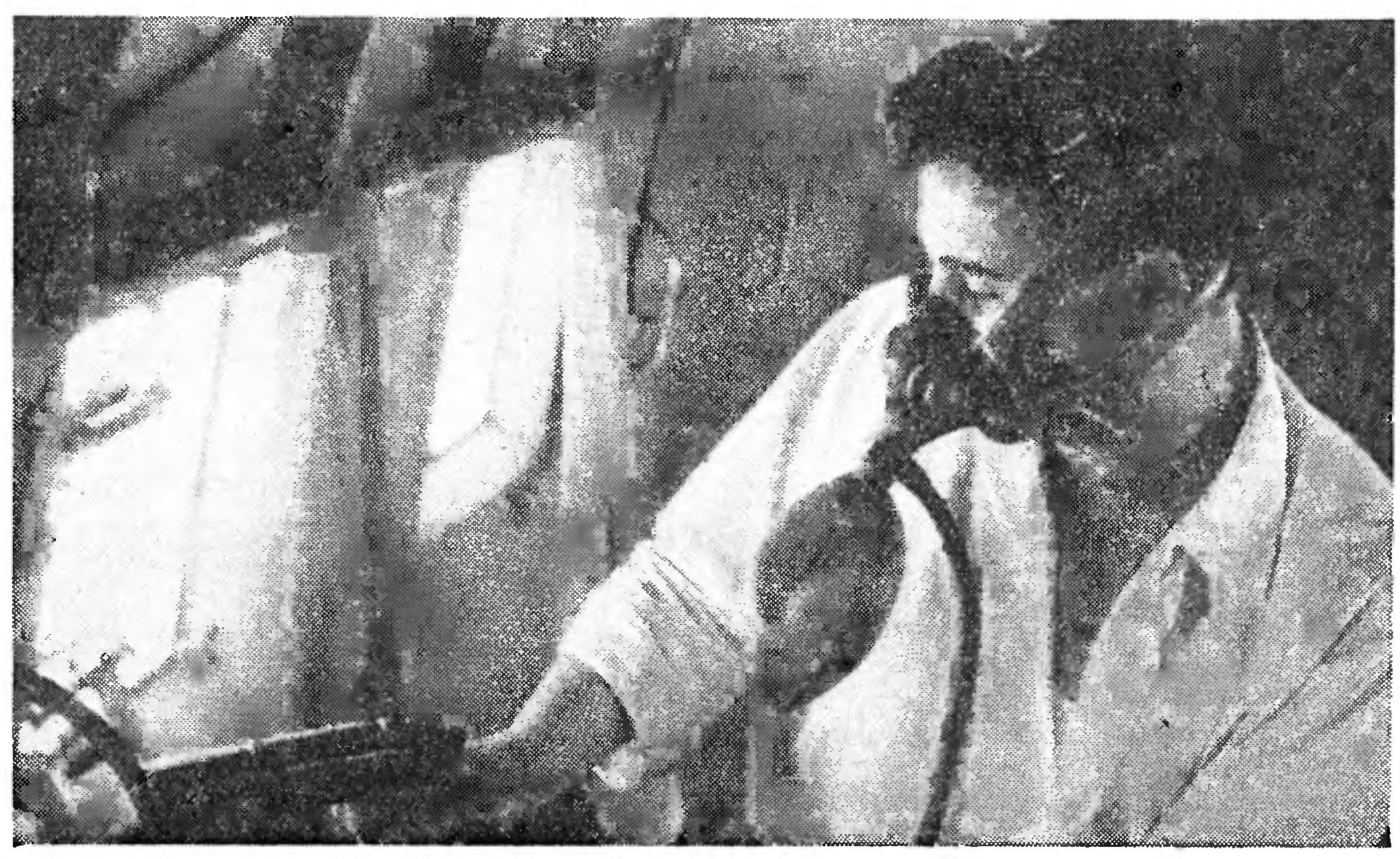 СТИХИЯ ПРОТИВ СТИХИИ