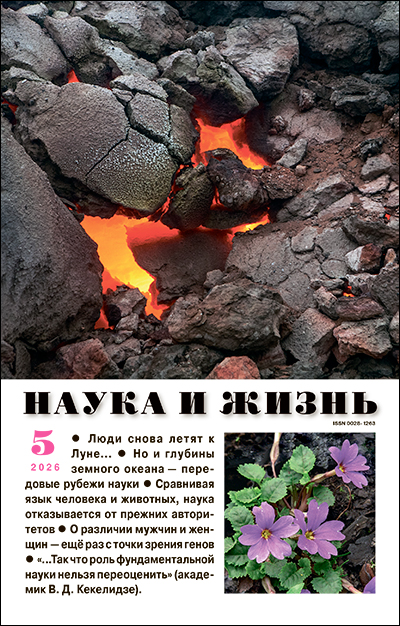 Обложка журнала «Наука и жизнь» №05 за 2026 г.