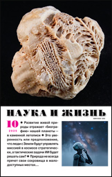 Обложка журнала «Наука и жизнь» №10 за 2025 г.