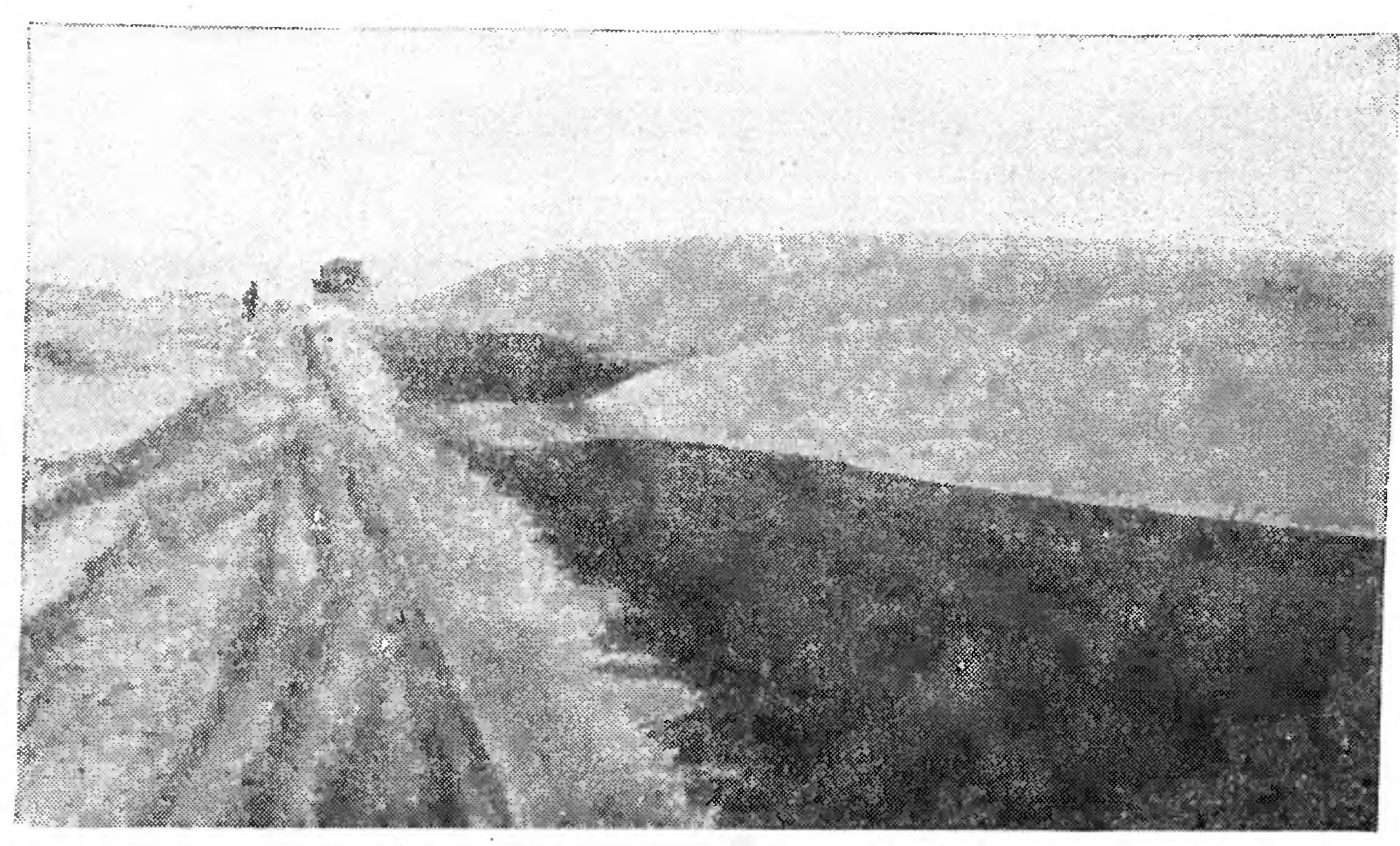 СОВСЕМ НЕ ПУСТЫННАЯ ПУСТЫНЯ