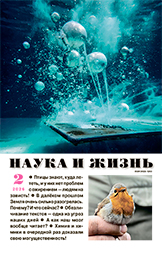 Обложка журнала «Наука и жизнь» №02 за 2026 г.