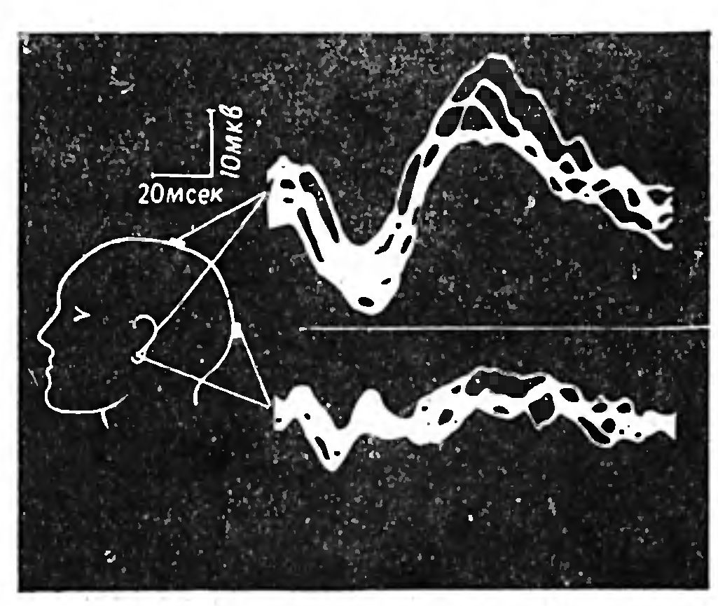 ПРОЧНОСТЬ ЗЕМЛИ