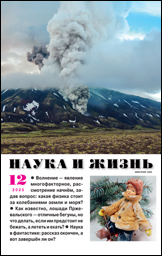 Обложка журнала «Наука и жизнь» №12 за 2025 г.