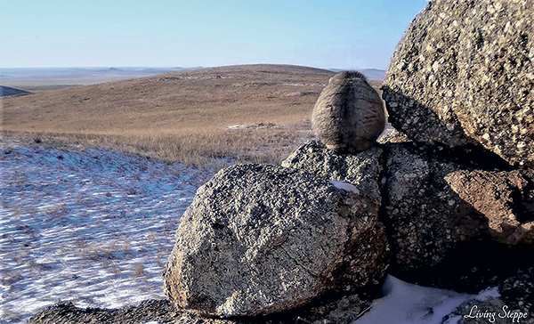 Заповедные новости. Февраль 2026 №2