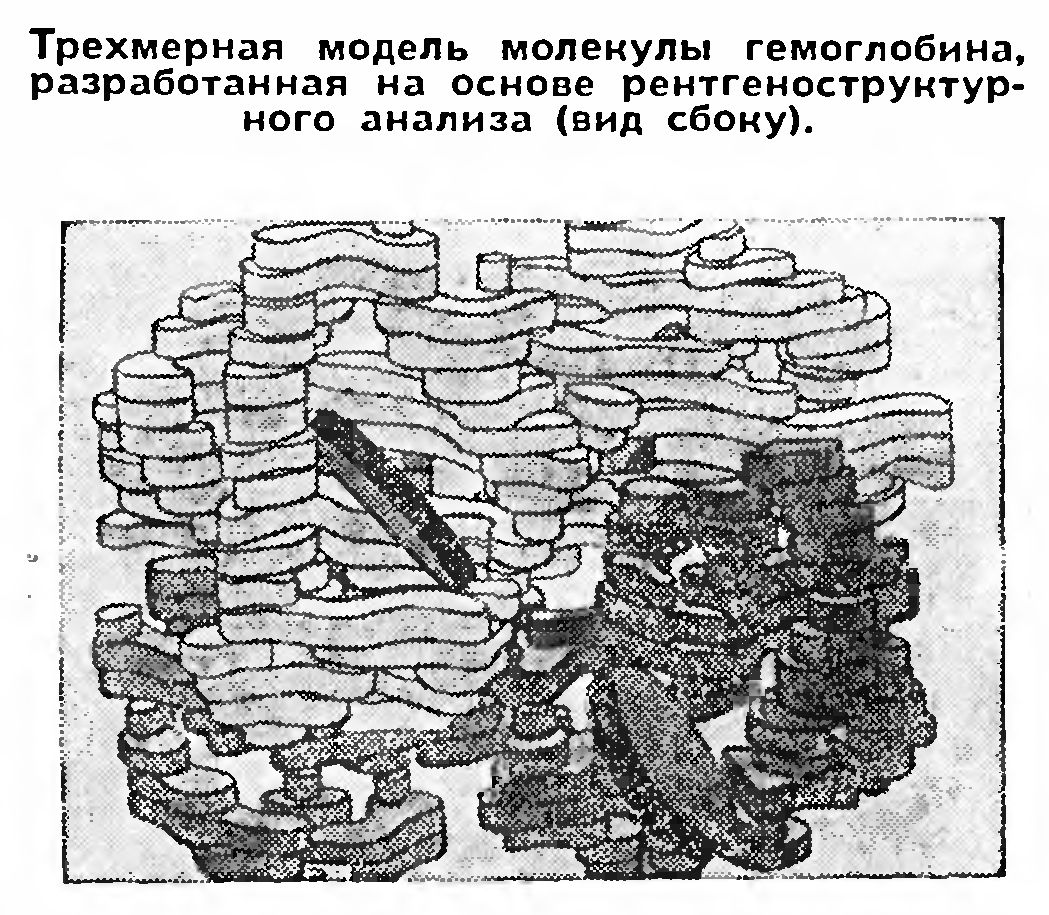 ЧТО ЕСТЬ ЖИВОЕ?