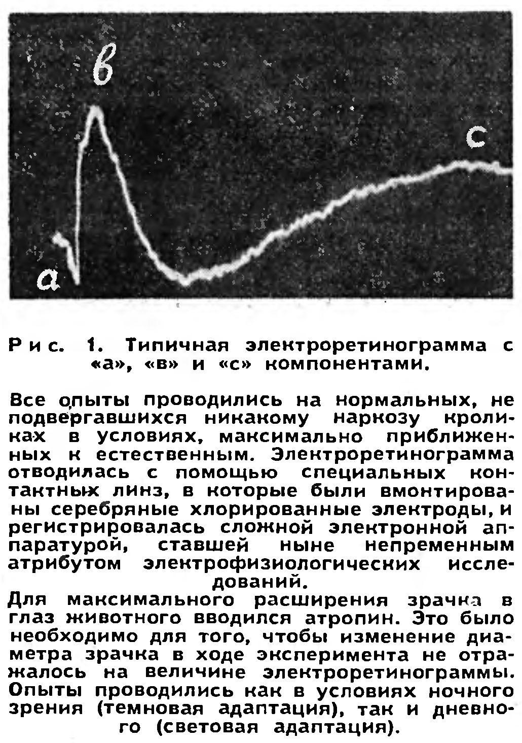 ДОСТИЖЕНИЯ, ПРОБЛЕМЫ, ЗАДАЧИ. СЕЛЕН - УСИЛИТЕЛЬ ЗРЕНИЯ