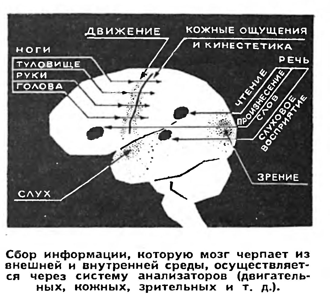 НЕЙРОХИРУРГИЯ. ФРАГМЕНТЫ ИСТОРИИ