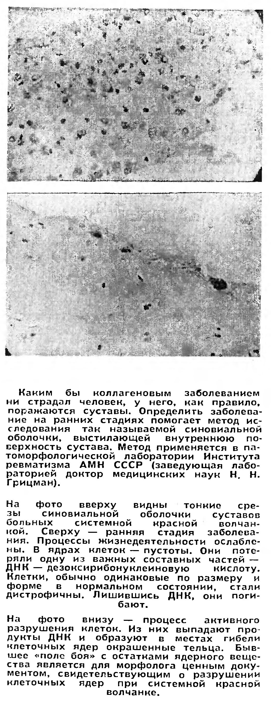 ДЕВИЗ - РАННЯЯ ДИАГНОСТИКА