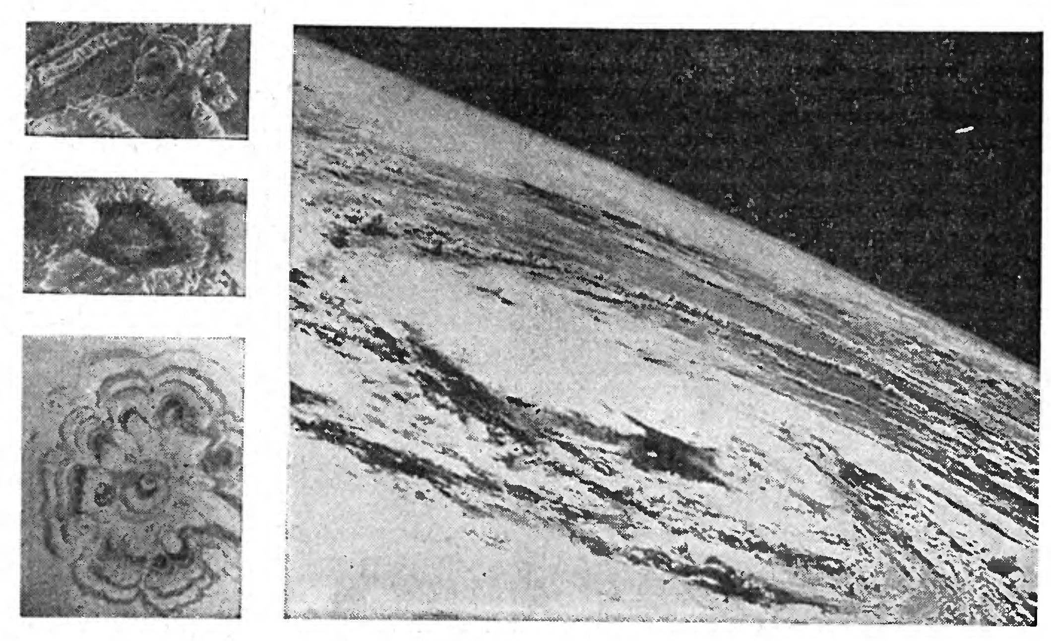 СТЕРЕОЛОГИЯ