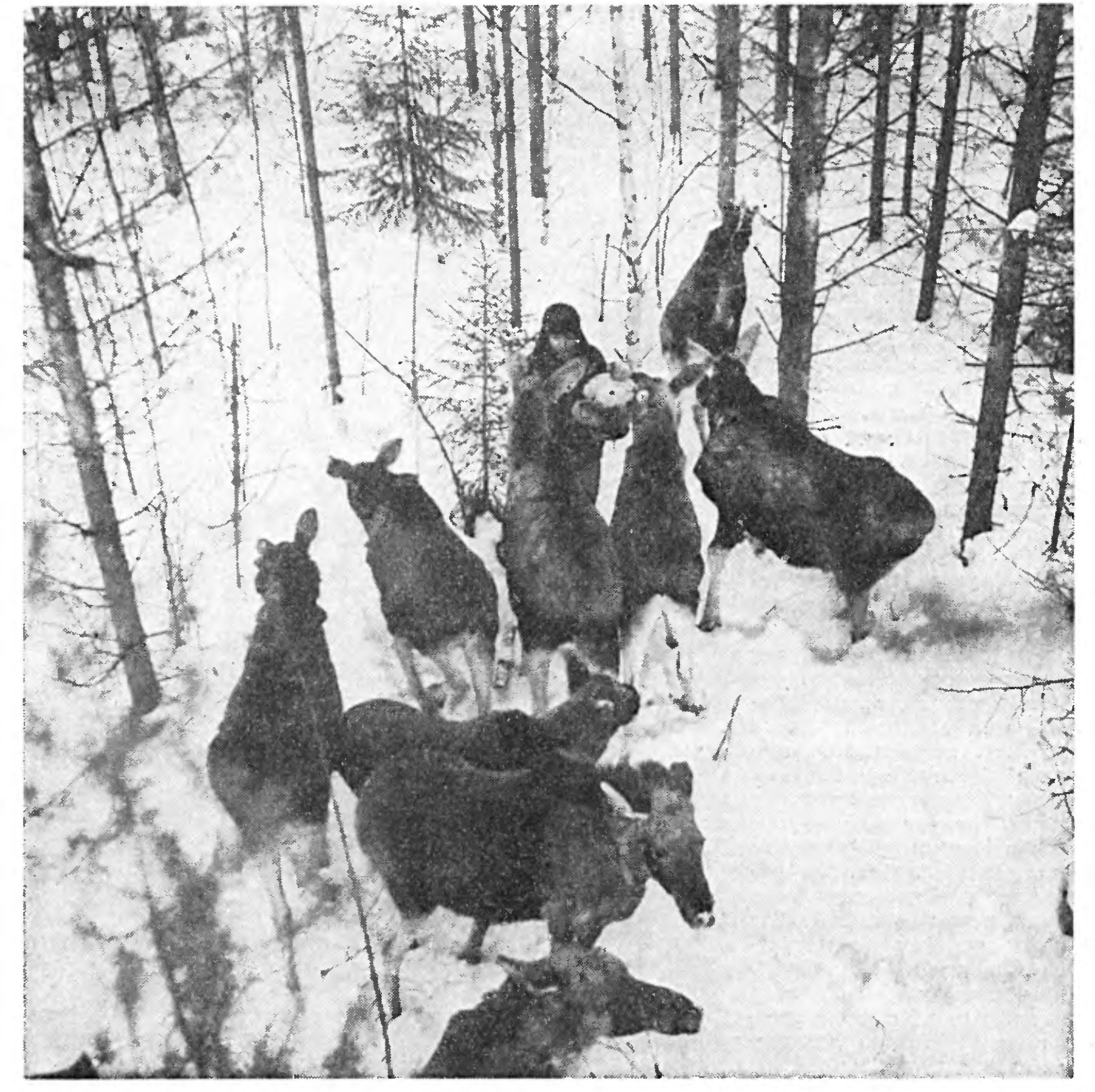 ОХРАНА ПРИРОДЫ - ВСЕНАРОДНОЕ ДЕЛО