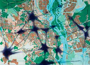 Геопатогенные Зоны Санкт-Петербурга Карта Геопатогенные Зоны Санкт-Петербурга Карта