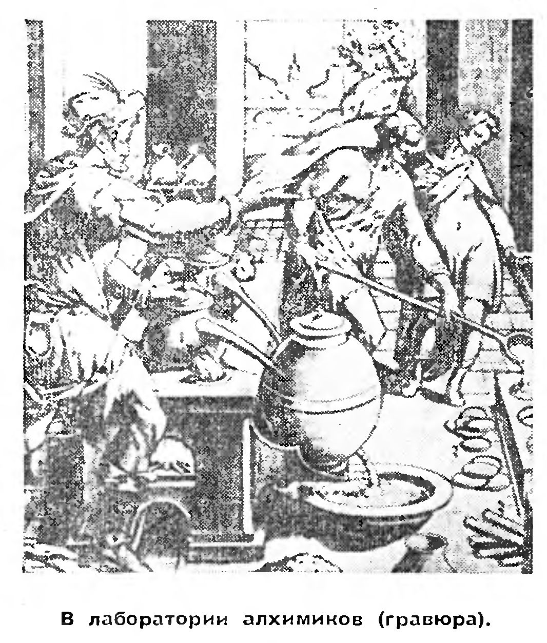 ЗА ЭЛИКСИРОМ МОЛОДОСТИ