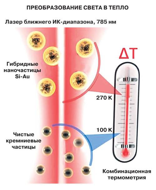 Пористый кремний и золото: рецепт наночастиц для биомедицины