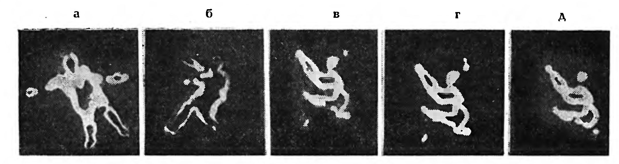 СЛУЖБА ТЕПЛОВИДЕНИЯ