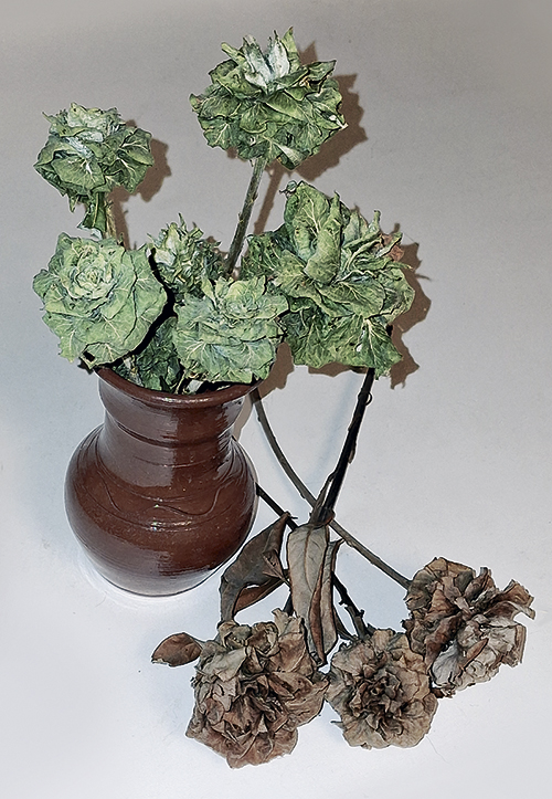 Странная ива