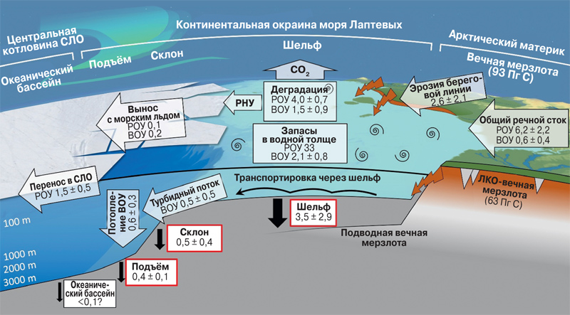 Сколько органического углерода на арктическом шельфе?