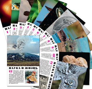 Комплект журналов «Наука и жизнь» №№ 1-12, 2025