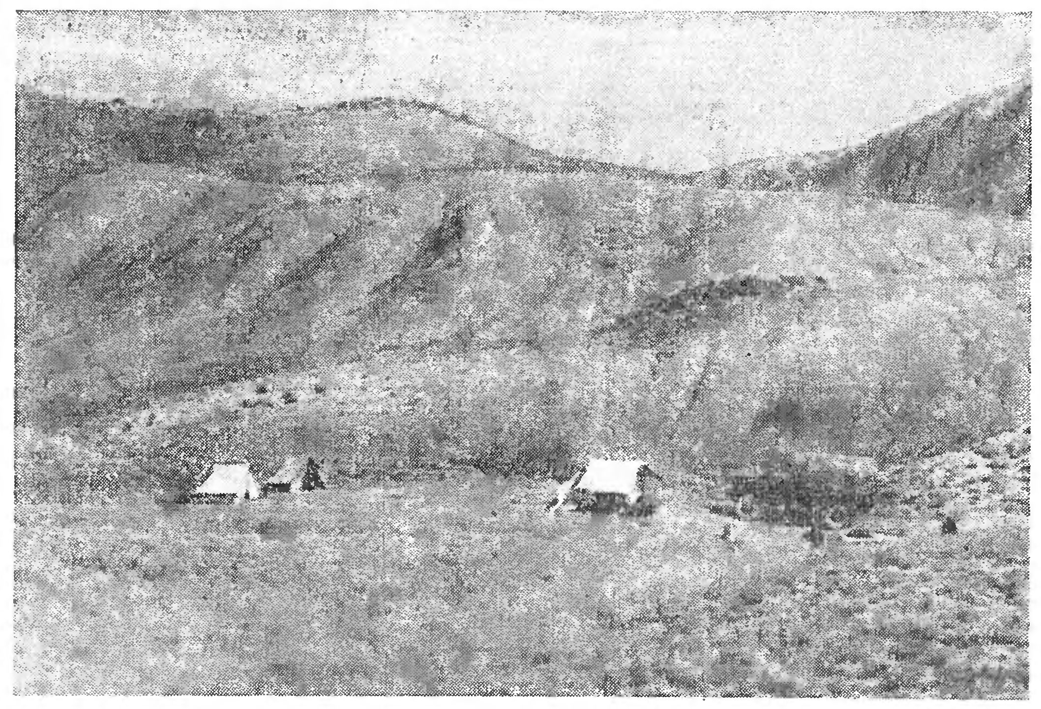 УНИКАЛЬНЫЕ ПАЛЕОНТОЛОГИЧЕСКИЕ НАХОДКИ