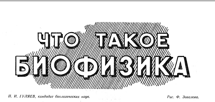 ЧТО ТАКОЕ БИОФИЗИКА