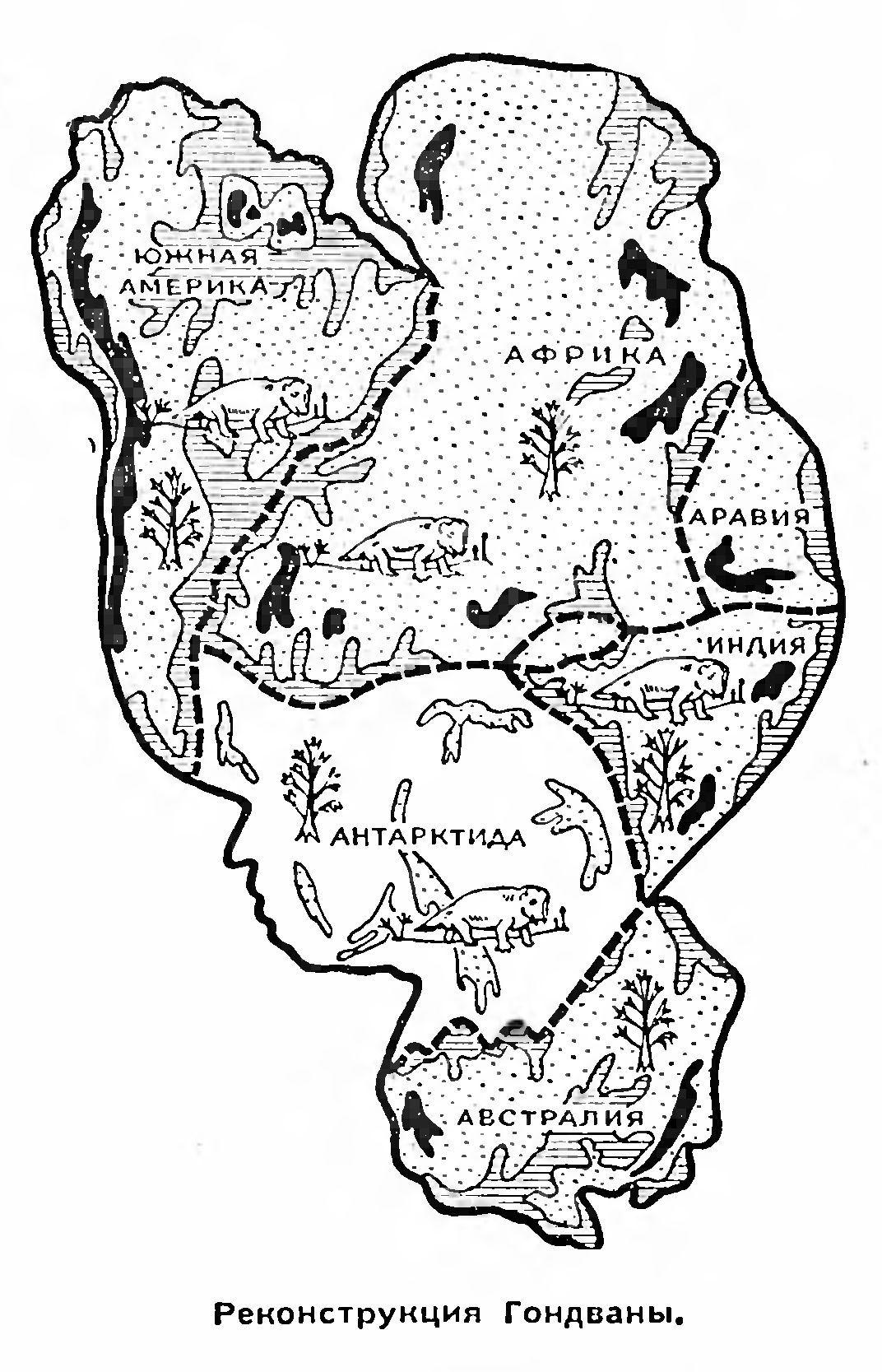 КАКОЙ БЫЛА ГОНДВАНА?