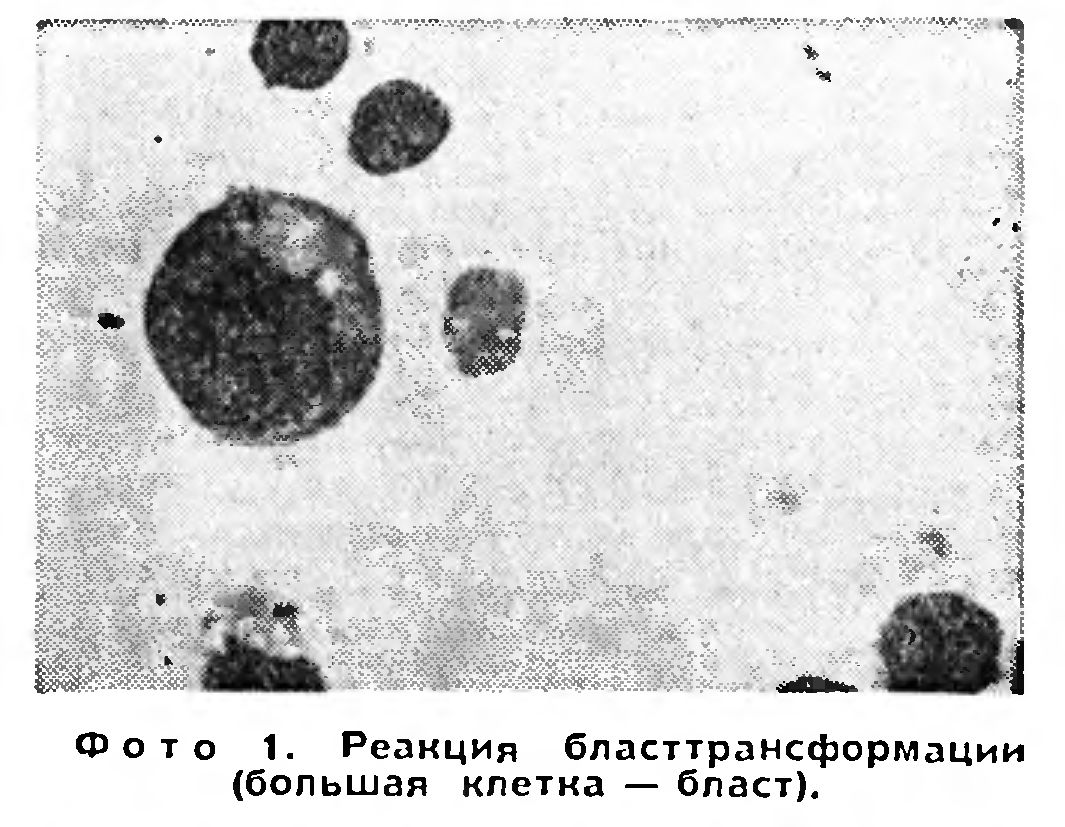 СОВЕТ ФТИЗИАТРОВ МИРА