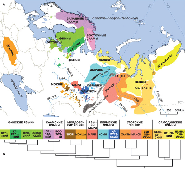 У народов уральской языковой семьи обнаружена генетическая общность