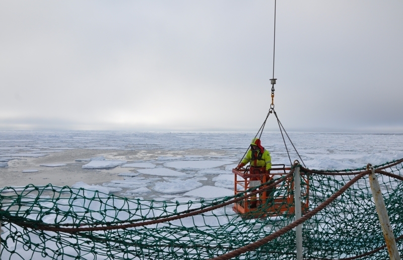 Спуск. Ученый в Гренландском море высаживается на паковый лед с исследовательского судна Ян Майен. 2010 год.