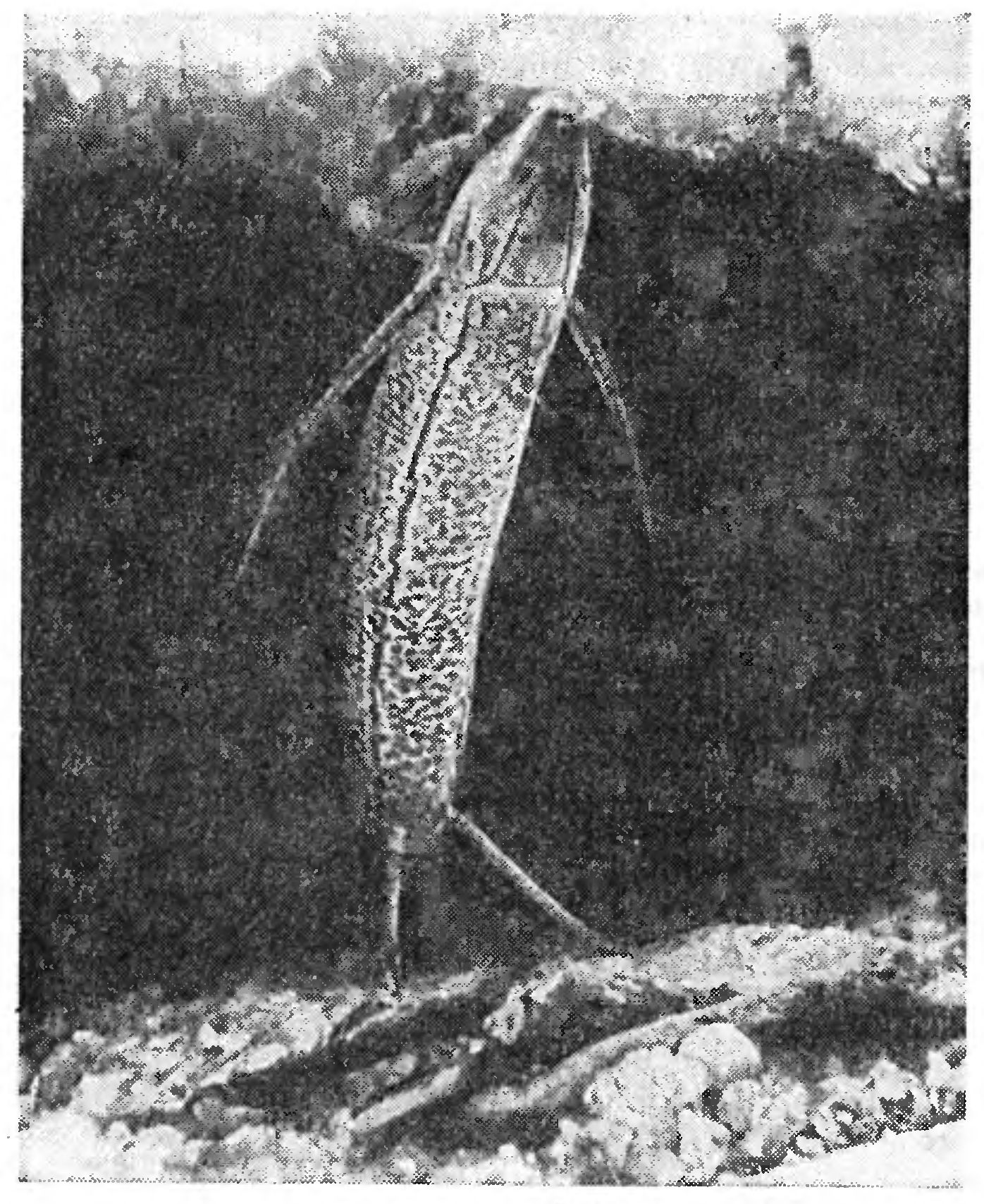 ПРОХОР ПРОХОРЫЧ