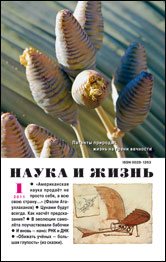 Обложка журнала «Наука и жизнь» №1 за 2011 г.