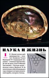 Обложка журнала «Наука и жизнь» №01 за 2022 г.