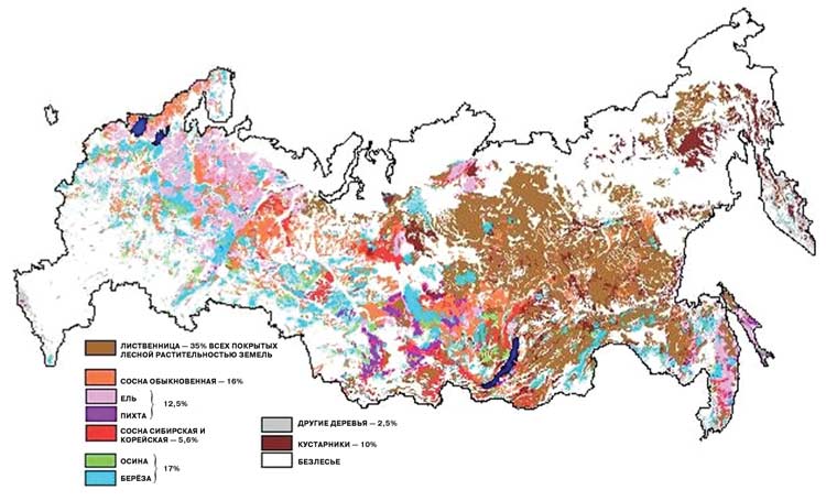 Интерактивная карта лесов россии рослесинфорг